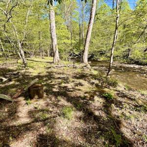 Photo #29 of SOLD property in Off Runnett Bag Rd, Ferrum, VA 57.0 acres