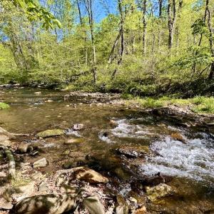 Photo #30 of SOLD property in Off Runnett Bag Rd, Ferrum, VA 57.0 acres