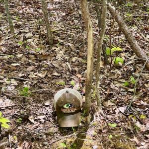 Photo #36 of SOLD property in Off Runnett Bag Rd, Ferrum, VA 57.0 acres