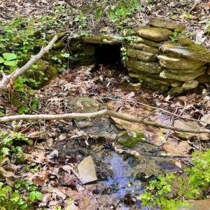 Photo #37 of SOLD property in Off Runnett Bag Rd, Ferrum, VA 57.0 acres