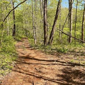 Photo #38 of SOLD property in Off Runnett Bag Rd, Ferrum, VA 57.0 acres