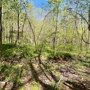 Photo #40 of SOLD property in Off Runnett Bag Rd, Ferrum, VA 57.0 acres