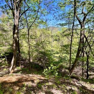 Photo #45 of SOLD property in Off Runnett Bag Rd, Ferrum, VA 57.0 acres