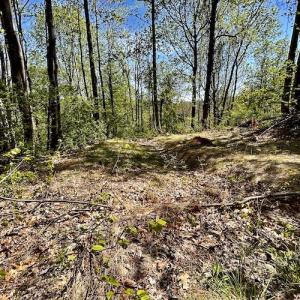Photo #46 of SOLD property in Off Runnett Bag Rd, Ferrum, VA 57.0 acres