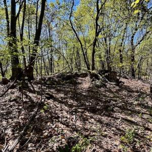 Photo #47 of SOLD property in Off Runnett Bag Rd, Ferrum, VA 57.0 acres