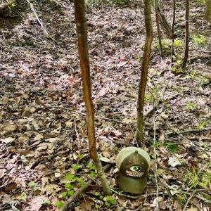 Photo #48 of SOLD property in Off Runnett Bag Rd, Ferrum, VA 57.0 acres