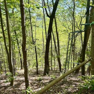 Photo #51 of SOLD property in Off Runnett Bag Rd, Ferrum, VA 57.0 acres