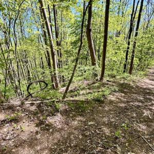 Photo #53 of SOLD property in Off Runnett Bag Rd, Ferrum, VA 57.0 acres