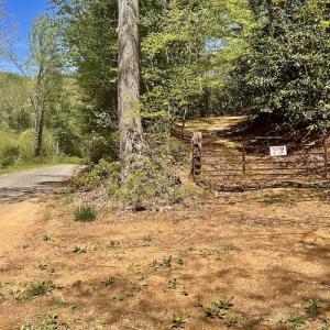 Photo #56 of SOLD property in Off Runnett Bag Rd, Ferrum, VA 57.0 acres
