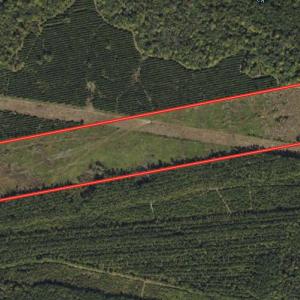 Photo #1 of SOLD property in Off Tuscarora Rhems Rd, New Bern, NC 40.6 acres