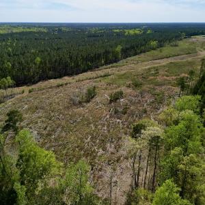Photo #10 of SOLD property in Off Tuscarora Rhems Rd, New Bern, NC 40.6 acres