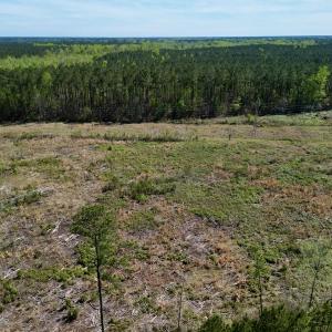 Photo #11 of SOLD property in Off Tuscarora Rhems Rd, New Bern, NC 40.6 acres