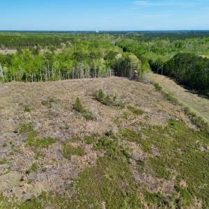 Photo #12 of SOLD property in Off Tuscarora Rhems Rd, New Bern, NC 40.6 acres