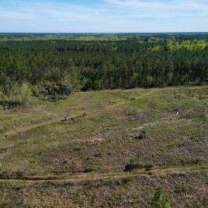 Photo #13 of SOLD property in Off Tuscarora Rhems Rd, New Bern, NC 40.6 acres