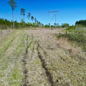 Photo #17 of SOLD property in Off Tuscarora Rhems Rd, New Bern, NC 40.6 acres