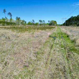 Photo #18 of SOLD property in Off Tuscarora Rhems Rd, New Bern, NC 40.6 acres