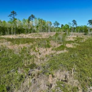 Photo #19 of SOLD property in Off Tuscarora Rhems Rd, New Bern, NC 40.6 acres