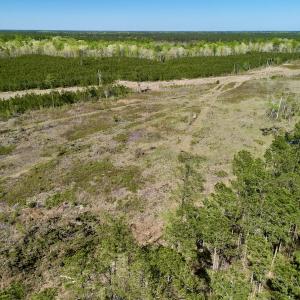 Photo #4 of SOLD property in Off Tuscarora Rhems Rd, New Bern, NC 40.6 acres
