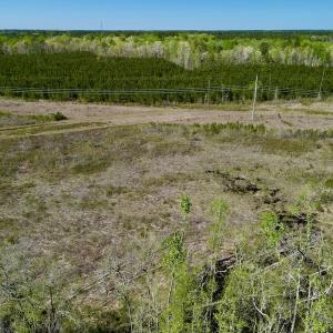 Photo #5 of SOLD property in Off Tuscarora Rhems Rd, New Bern, NC 40.6 acres