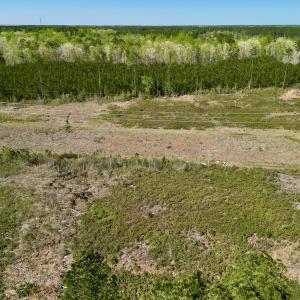 Photo #6 of SOLD property in Off Tuscarora Rhems Rd, New Bern, NC 40.6 acres