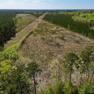 Photo #8 of SOLD property in Off Tuscarora Rhems Rd, New Bern, NC 40.6 acres