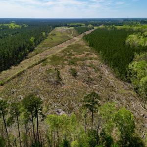 Photo #9 of SOLD property in Off Tuscarora Rhems Rd, New Bern, NC 40.6 acres