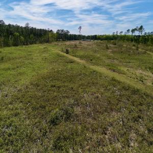 Photo #22 of SOLD property in Off Tuscarora Rhems Rd, New Bern, NC 40.6 acres