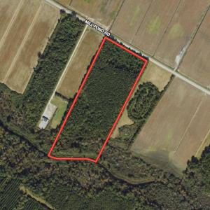 Photo #1 of SOLD property in Off Mill Pond Rd, Bayboro, NC 15.2 acres