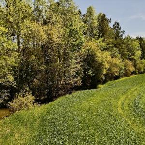 Photo #17 of SOLD property in Off Mill Pond Rd, Bayboro, NC 15.2 acres