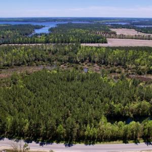 Photo #2 of SOLD property in Off NC 304, Bayboro, NC 9.0 acres