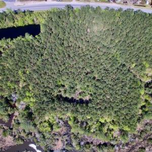 Photo #13 of SOLD property in Off NC 304, Bayboro, NC 9.0 acres