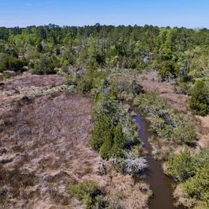 Photo #14 of SOLD property in Off NC 304, Bayboro, NC 9.0 acres
