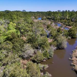 Photo #15 of SOLD property in Off NC 304, Bayboro, NC 9.0 acres