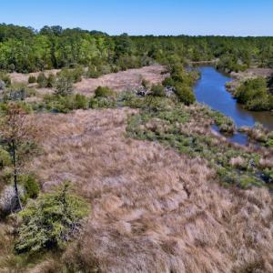 Photo #16 of SOLD property in Off NC 304, Bayboro, NC 9.0 acres