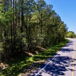Photo #18 of SOLD property in Off NC 304, Bayboro, NC 9.0 acres