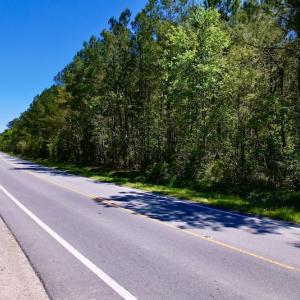 Photo #19 of SOLD property in Off NC 304, Bayboro, NC 9.0 acres