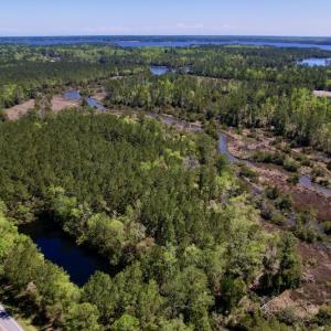 Photo #3 of SOLD property in Off NC 304, Bayboro, NC 9.0 acres