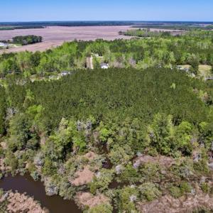 Photo #5 of SOLD property in Off NC 304, Bayboro, NC 9.0 acres