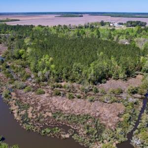 Photo #6 of SOLD property in Off NC 304, Bayboro, NC 9.0 acres