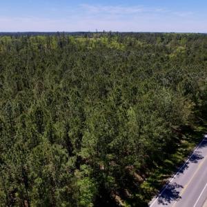 Photo #8 of SOLD property in Off NC 304, Bayboro, NC 9.0 acres