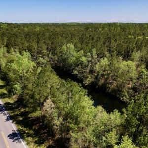 Photo #9 of SOLD property in Off NC 304, Bayboro, NC 9.0 acres