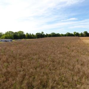 Photo #4 of SOLD property in Off Oaky Point Rd, Dillon, SC 1.2 acres