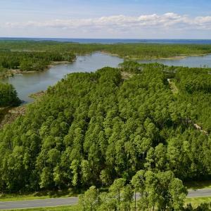 Photo #2 of Off State Road 1901, Aurora, NC 8.3 acres