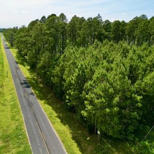 Photo #11 of Off State Road 1901, Aurora, NC 8.3 acres