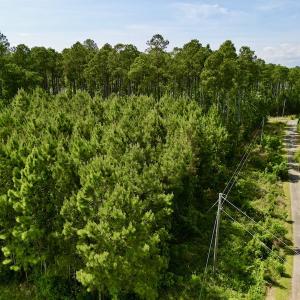 Photo #12 of Off State Road 1901, Aurora, NC 8.3 acres