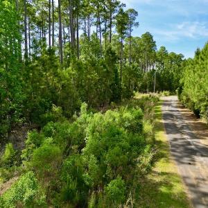 Photo #13 of Off State Road 1901, Aurora, NC 8.3 acres
