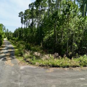 Photo #14 of Off State Road 1901, Aurora, NC 8.3 acres