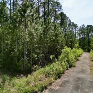 Photo #15 of Off State Road 1901, Aurora, NC 8.3 acres