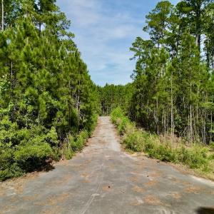 Photo #16 of Off State Road 1901, Aurora, NC 8.3 acres