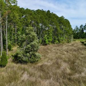 Photo #20 of Off State Road 1901, Aurora, NC 8.3 acres
